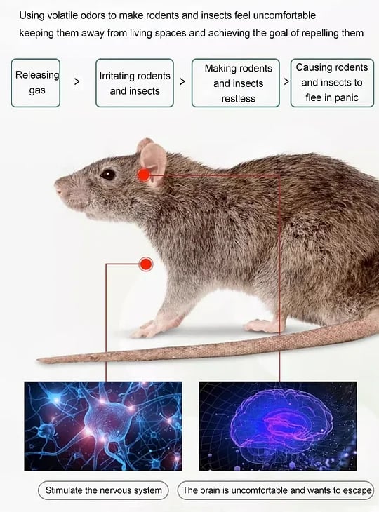 Sphère répulsive pour rongeurs et insectes